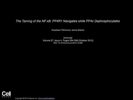 The Taming of the NF-κB: PP4R1 Navigates while PP4c Dephosphorylates