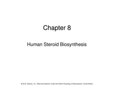 Human Steroid Biosynthesis