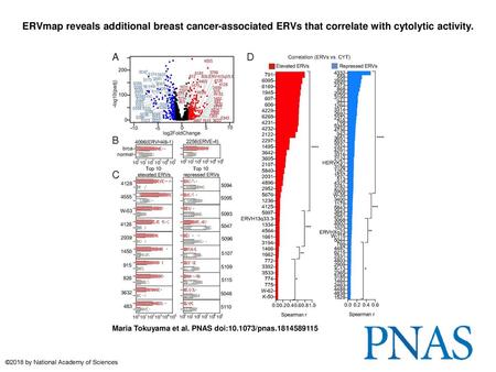 ERVmap reveals additional breast cancer-associated ERVs that correlate with cytolytic activity. ERVmap reveals additional breast cancer-associated ERVs.