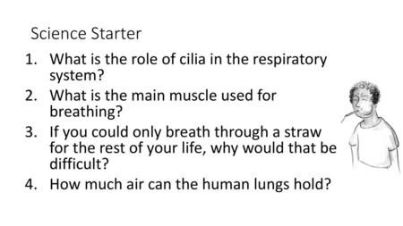 Science Starter What is the role of cilia in the respiratory system?
