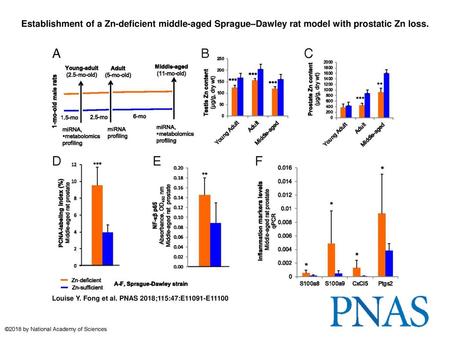 Establishment of a Zn-deficient middle-aged Sprague–Dawley rat model with prostatic Zn loss. Establishment of a Zn-deficient middle-aged Sprague–Dawley.