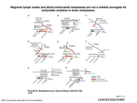 Regional lymph nodes and distal extracranial metastases are not a reliable surrogate for actionable mutation in brain metastases. Regional lymph nodes.