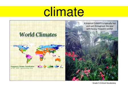 Climate A tropical CLIMATE is typically hot and wet throughout the year with heavy, frequent rainfall. Grade 5 Critical Vocabulary.