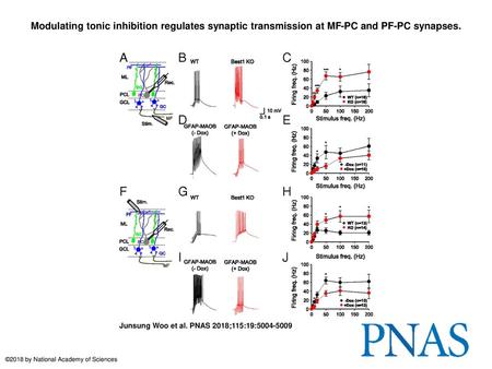Modulating tonic inhibition regulates synaptic transmission at MF-PC and PF-PC synapses. Modulating tonic inhibition regulates synaptic transmission at.