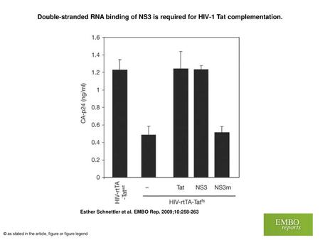 Double‐stranded RNA binding of NS3 is required for HIV‐1 Tat complementation. Double‐stranded RNA binding of NS3 is required for HIV‐1 Tat complementation.