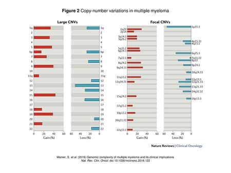 Figure 2 Copy-number variations in multiple myeloma