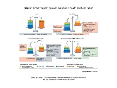 Figure 1 Energy supply–demand matching in health and heart failure