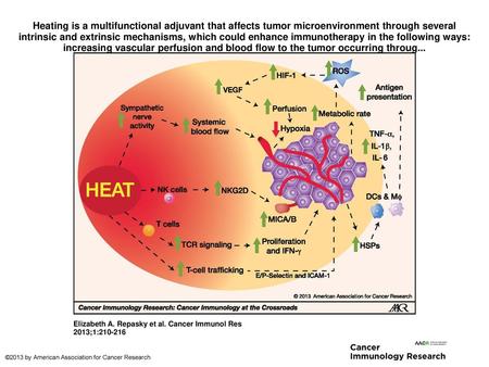 Heating is a multifunctional adjuvant that affects tumor microenvironment through several intrinsic and extrinsic mechanisms, which could enhance immunotherapy.