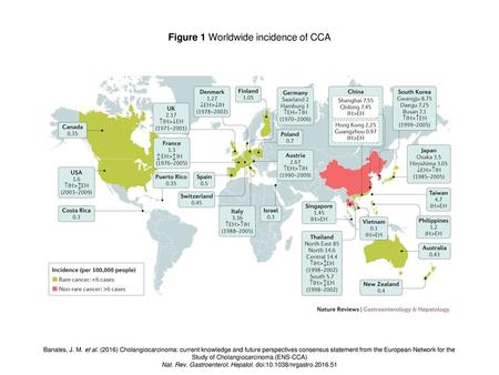 Figure 1 Worldwide incidence of CCA