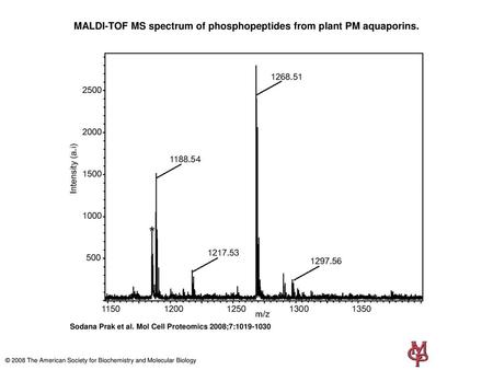 MALDI-TOF MS spectrum of phosphopeptides from plant PM aquaporins.