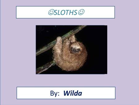SLOTHS 1) Type the name of your animal 2) type your name 3) include a picture of your animal 4) change fonts and colors to personalize. By: Wilda.