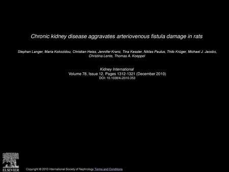 Chronic kidney disease aggravates arteriovenous fistula damage in rats