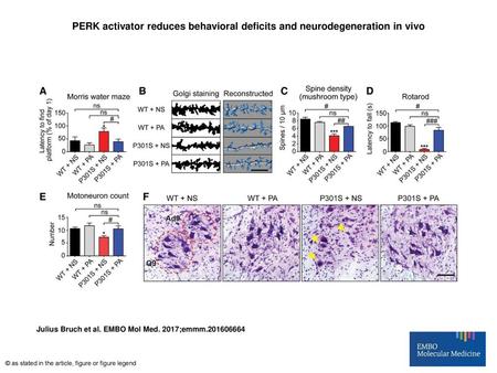 PERK activator reduces behavioral deficits and neurodegeneration in vivo PERK activator reduces behavioral deficits and neurodegeneration in vivo A–CYoung.