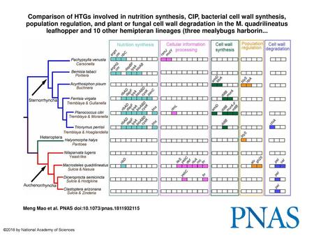 Comparison of HTGs involved in nutrition synthesis, CIP, bacterial cell wall synthesis, population regulation, and plant or fungal cell wall degradation.