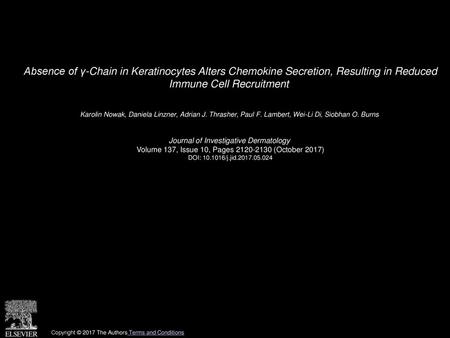 Absence of γ-Chain in Keratinocytes Alters Chemokine Secretion, Resulting in Reduced Immune Cell Recruitment  Karolin Nowak, Daniela Linzner, Adrian J.