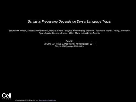Syntactic Processing Depends on Dorsal Language Tracts