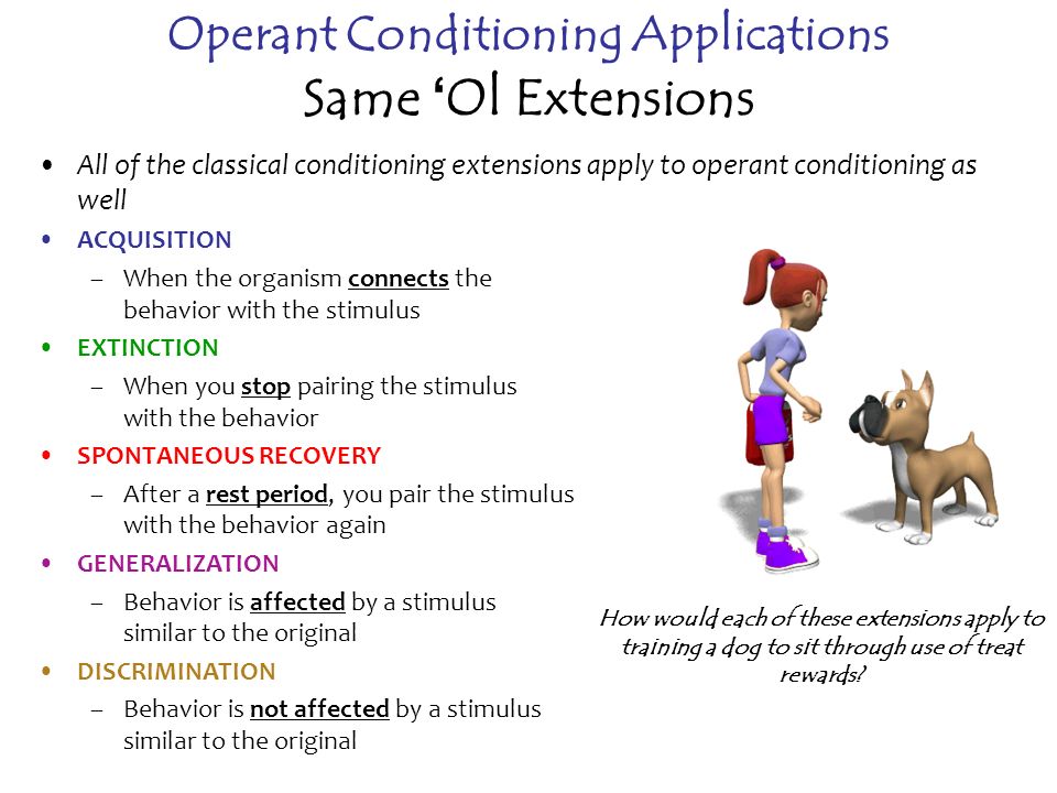 operant learning terms