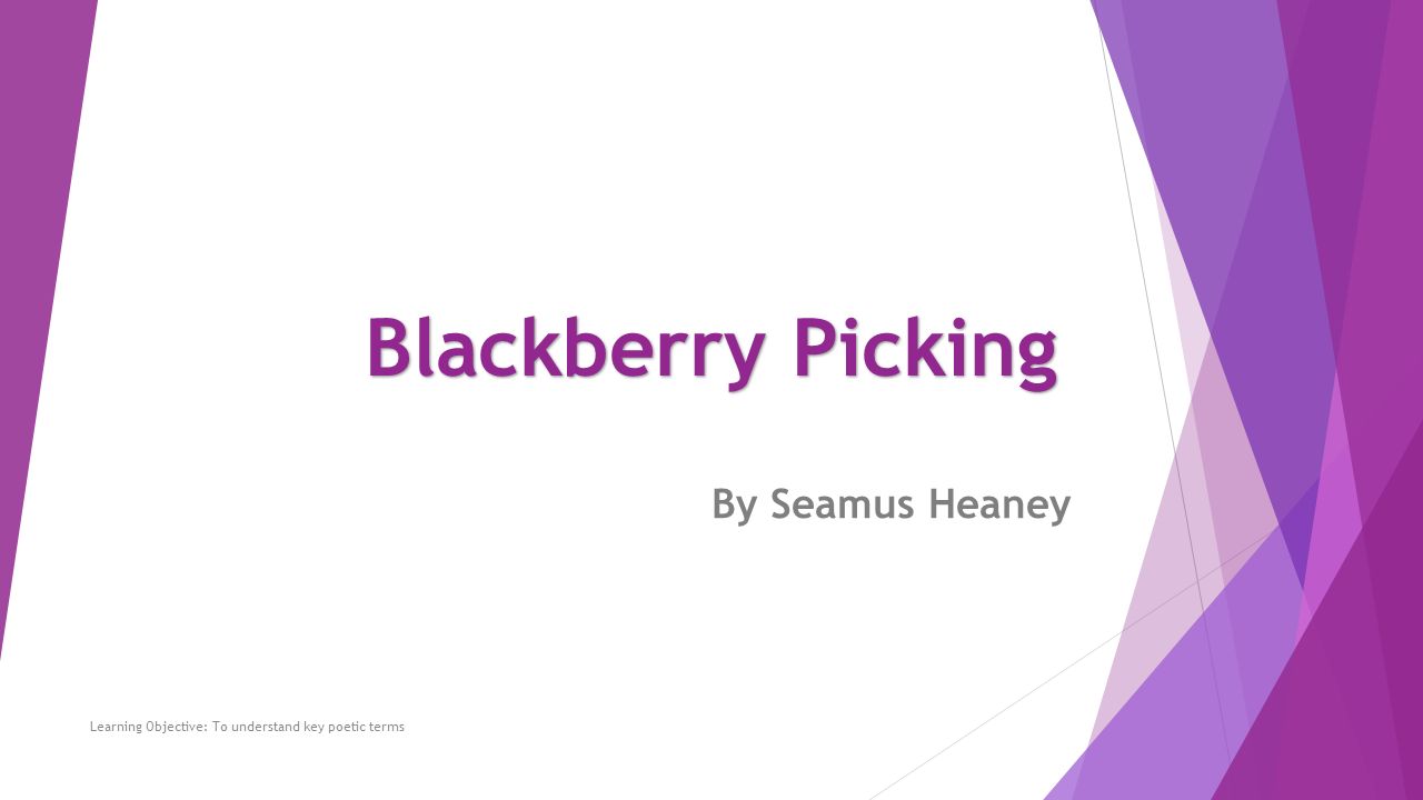 blackberry picking seamus heaney analysis
