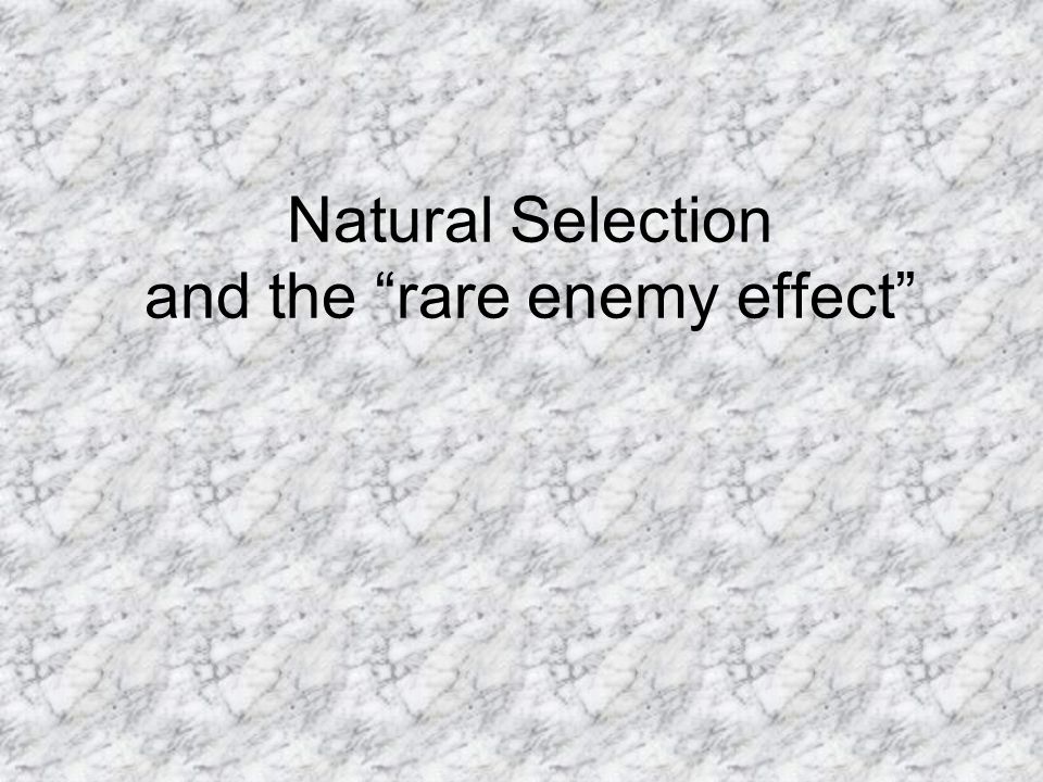 Natural Selection and the “rare enemy effect”. Earthworms #1 enemy is the  mole A mole can eat its weight in worms in a day A worm knows a mole is  coming. 
