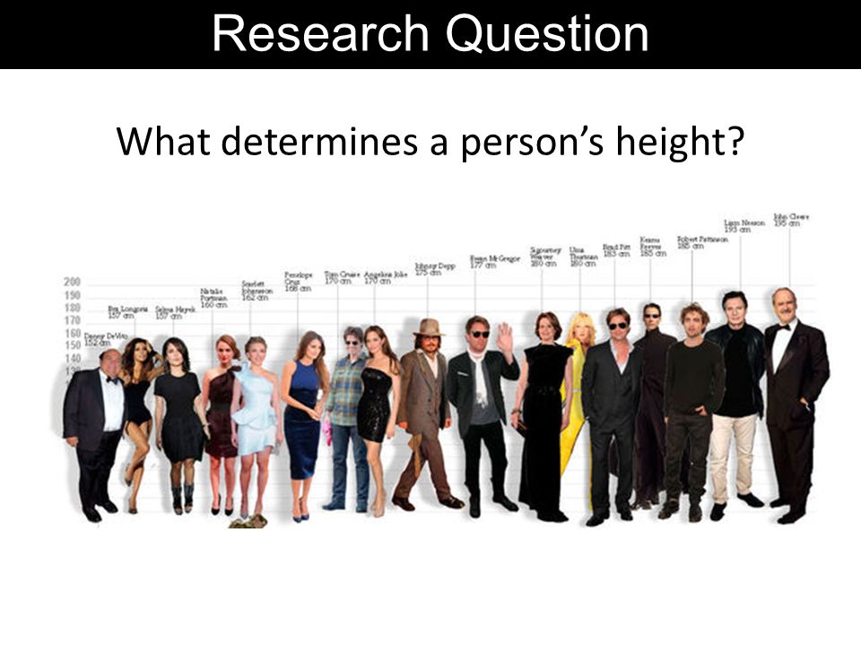 Research Question What determines a person's height? - ppt download