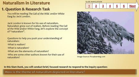 Naturalism in Literature 1. Question & Research Task