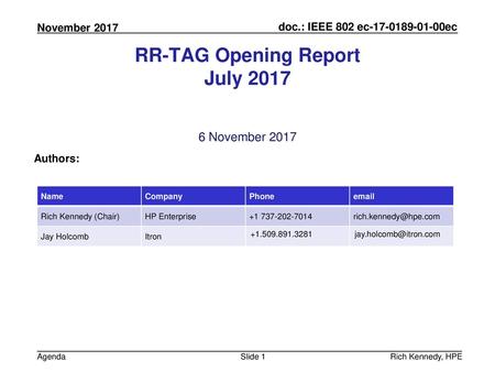 RR-TAG Opening Report July 2017
