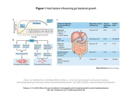 Figure 1 Host factors influencing gut bacterial growth