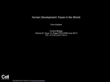 Human Development: Faces in the Womb