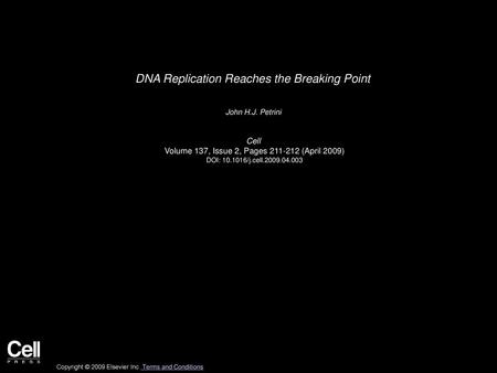 DNA Replication Reaches the Breaking Point