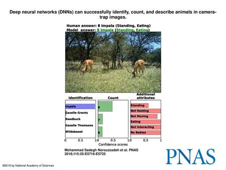 Deep neural networks (DNNs) can successfully identify, count, and describe animals in camera-trap images. Deep neural networks (DNNs) can successfully.