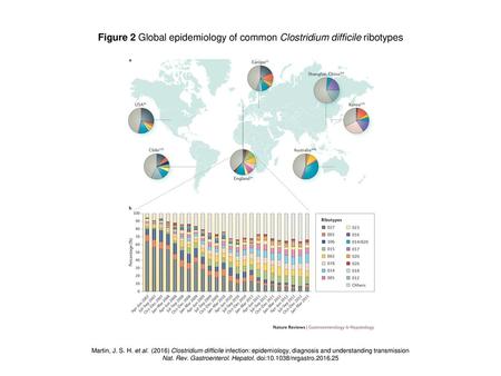Figure 2 Global epidemiology of common Clostridium difficile ribotypes