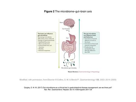 Figure 2 The microbiome–gut–brain axis