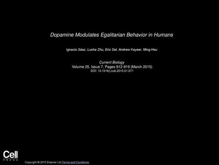 Dopamine Modulates Egalitarian Behavior in Humans