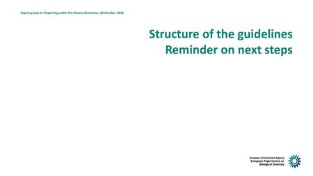 Structure of the guidelines Reminder on next steps