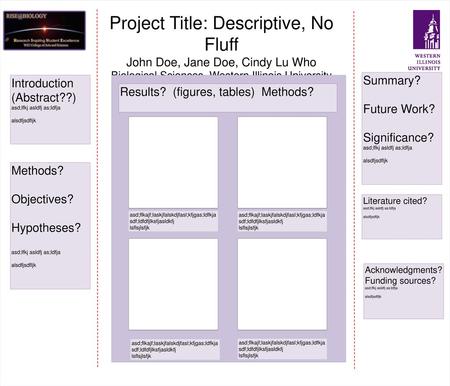 Example 1:  These slides have the correct size (42x36inches)