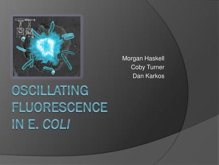 Oscillating Fluorescence in E. coli