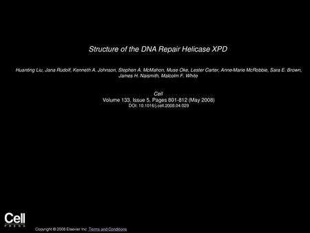 Structure of the DNA Repair Helicase XPD