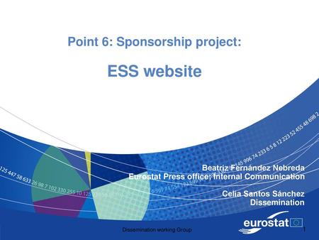 Point 6: Sponsorship project: ESS website