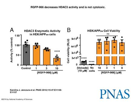 RGFP-966 decreases HDAC3 activity and is not cytotoxic.