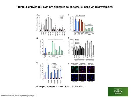 Tumour‐derived miRNAs are delivered to endothelial cells via microvesicles. Tumour‐derived miRNAs are delivered to endothelial cells via microvesicles.