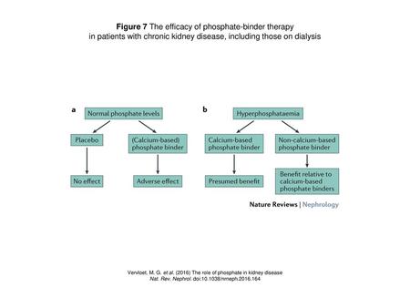 Figure 7 The efficacy of phosphate-binder therapy