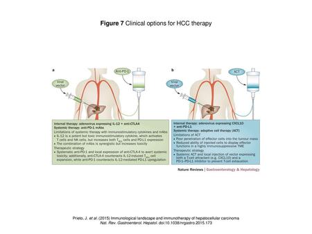 Figure 7 Clinical options for HCC therapy