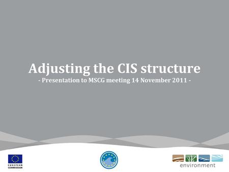 Adjusting the CIS structure - Presentation to MSCG meeting 14 November