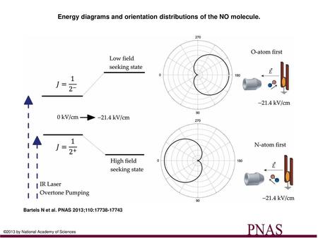 Energy diagrams and orientation distributions of the NO molecule.