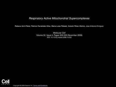 Respiratory Active Mitochondrial Supercomplexes