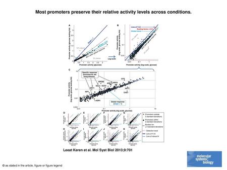 Most promoters preserve their relative activity levels across conditions. Most promoters preserve their relative activity levels across conditions. (A)
