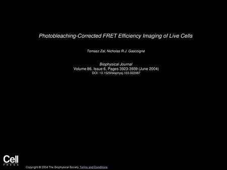Photobleaching-Corrected FRET Efficiency Imaging of Live Cells