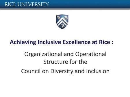 Achieving Inclusive Excellence at Rice :
