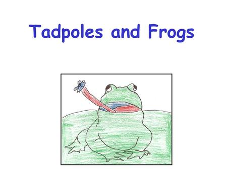 Tadpoles and Frogs.