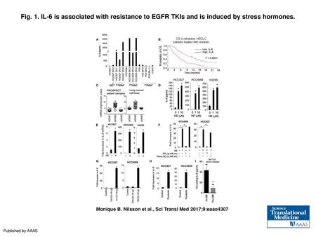 Fig. 1. IL-6 is associated with resistance to EGFR TKIs and is induced by stress hormones. IL-6 is associated with resistance to EGFR TKIs and is induced.